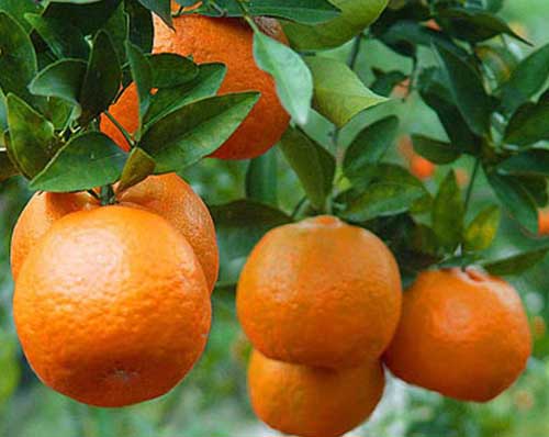 狗万app-注册首页